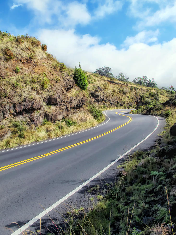 Road to Haleakala 32 Photograph by Dawn Eshelman