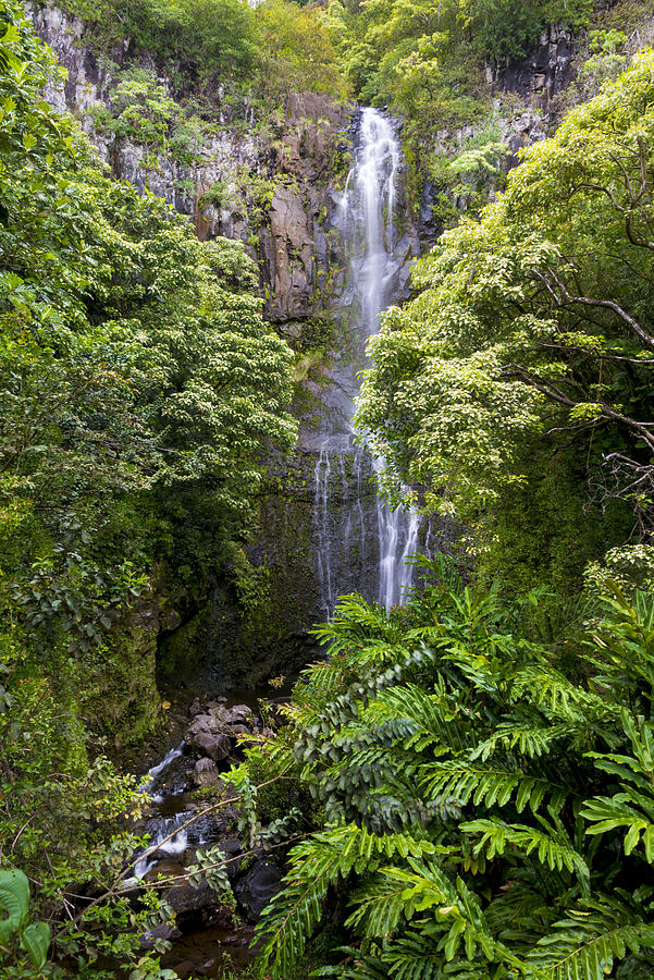 Nature Photograph - Road To Hana Waterfall - Waimea Valley Maui Hawaii by Brian Harig