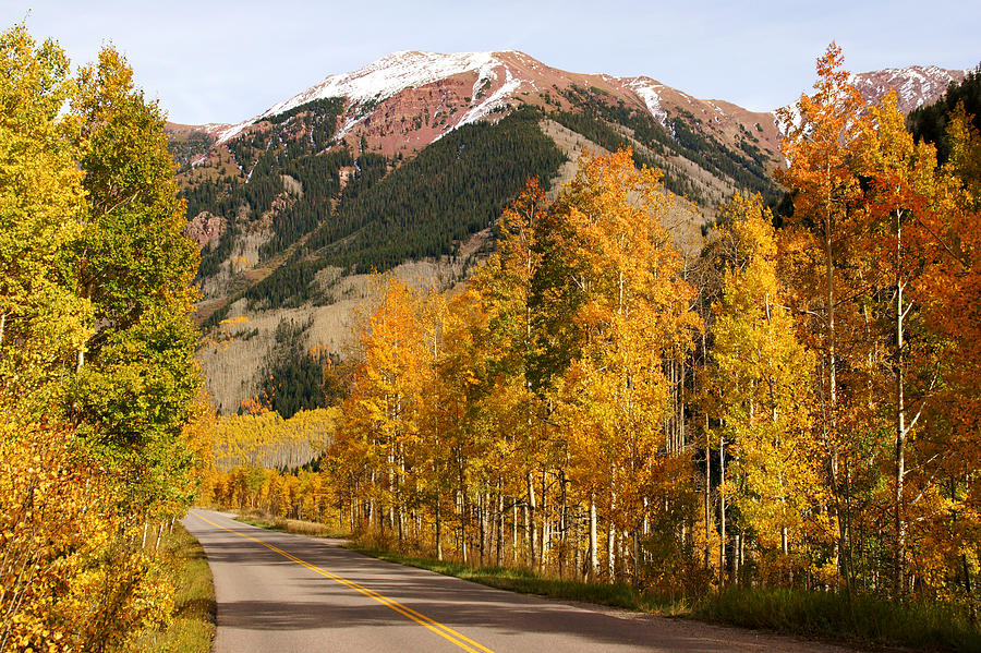 Road to Maroon Bells in Autumn Photograph by Daniel Woodrum