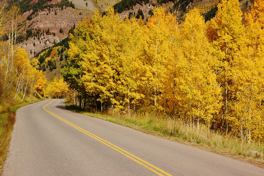 Road to Maroon Bells in Autumn No.2 Photograph by Daniel Woodrum