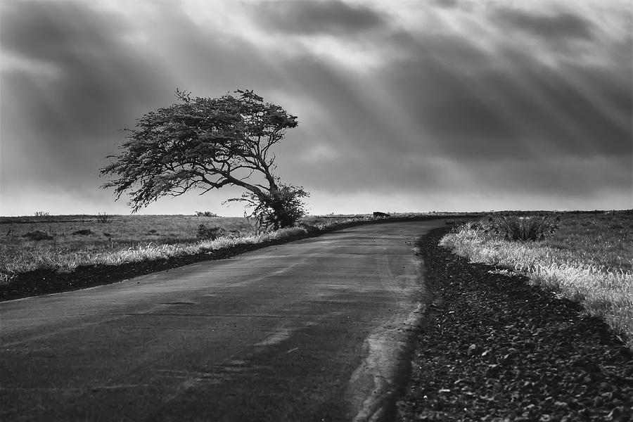 Road to nowhere Photograph by Eduard Moldoveanu