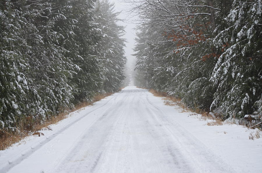 Maine Winter Photograph by James Petersen