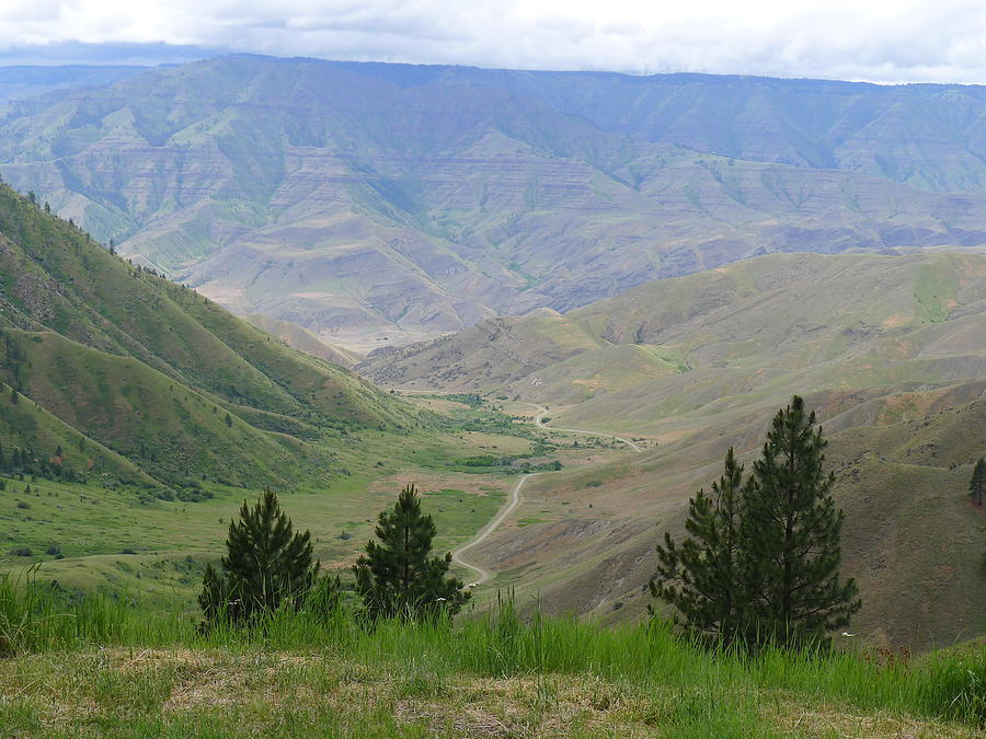 Hells Canyon Photograph - Road to Pittsburg Landing by Joel Deutsch