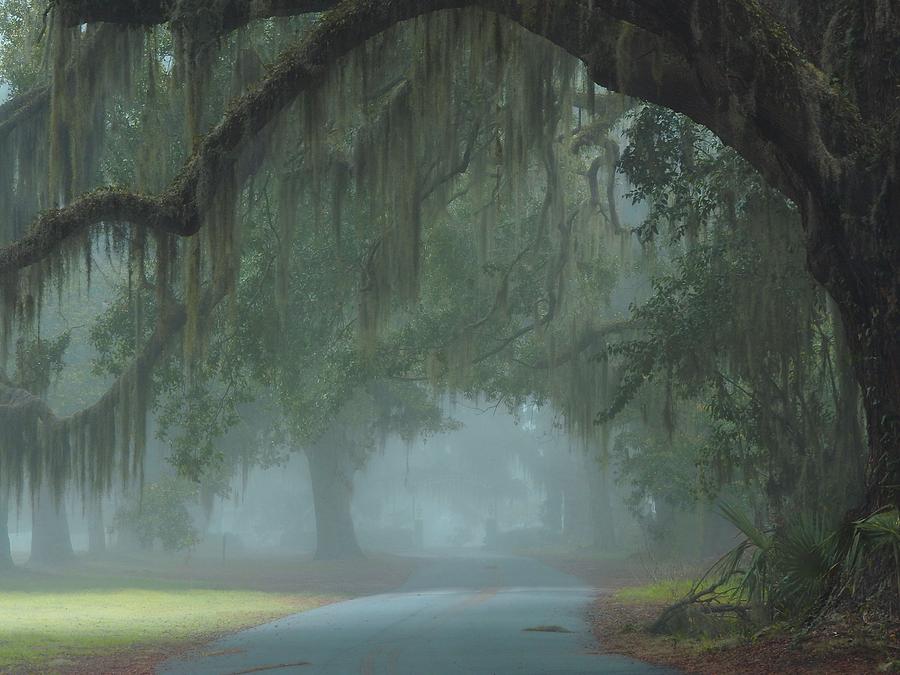 Landscape Photograph - Road to Righteousness by Laura Ragland