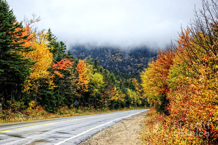 Fall Photograph - Road To The Clouds by David Birchall