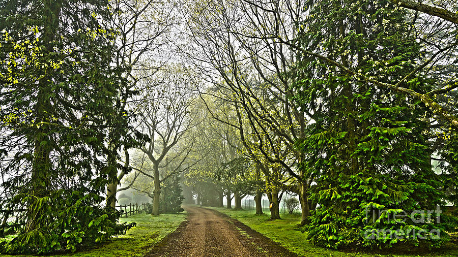 Road To The Manor House Digital Art by Andrew Middleton