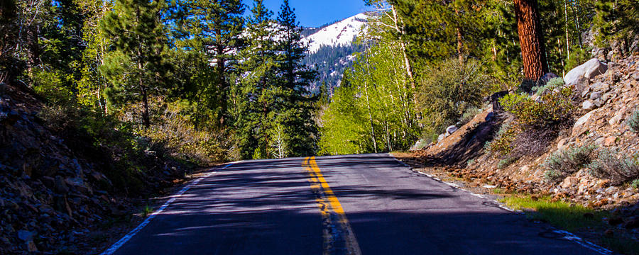 Road to the Mountain Photograph by John McGraw