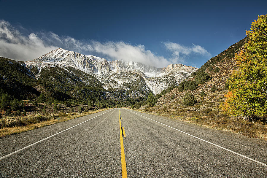 Road To The Sierra Nevada Mountains Photograph by Alice Cahill