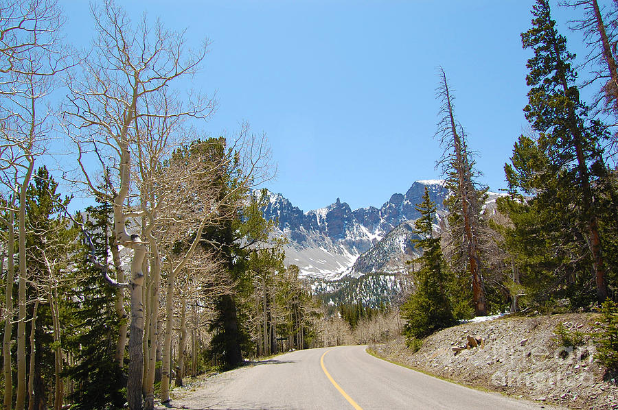 Road to Wheeler Peak Photograph by Debra Thompson