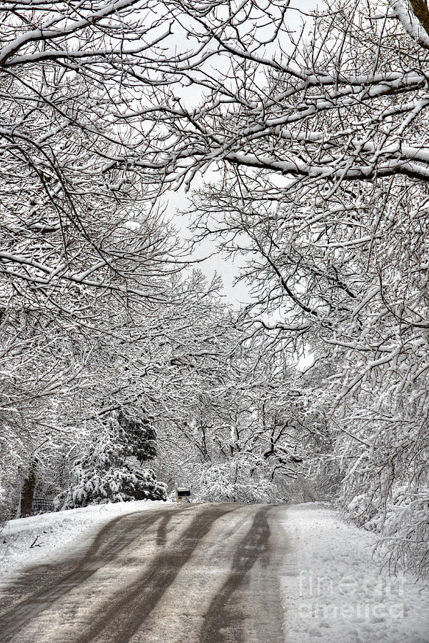 Road to Winter Photograph by Deborah Smolinske