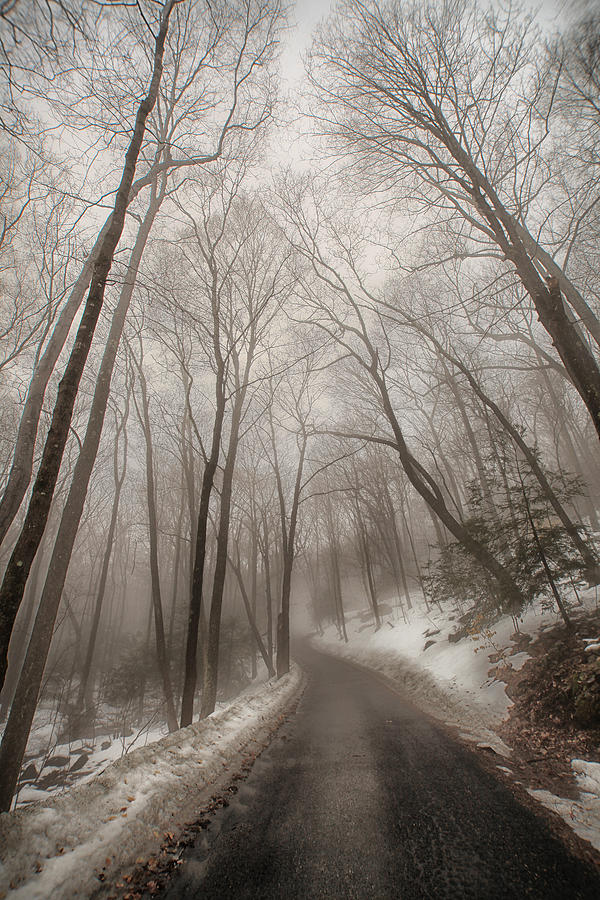 Road to Winter Photograph by Karol Livote