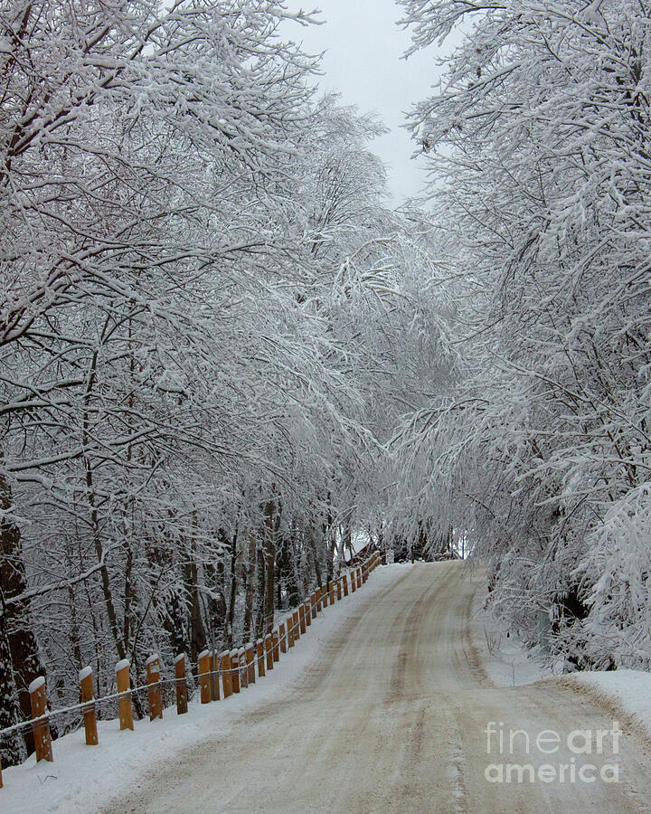 Road to Winter Wonderland Photograph by Margaret Sarah Pardy