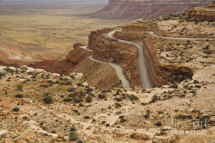 Road With Sharp Switchbacks Photograph by Ellen Thane