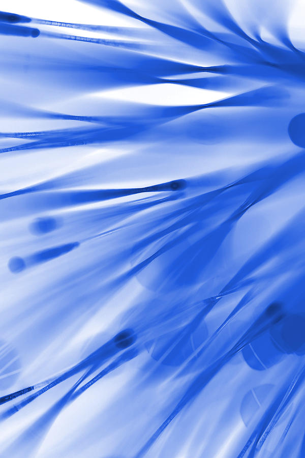 Abstract Photograph - Roadhouse Blues by Dazzle Zazz