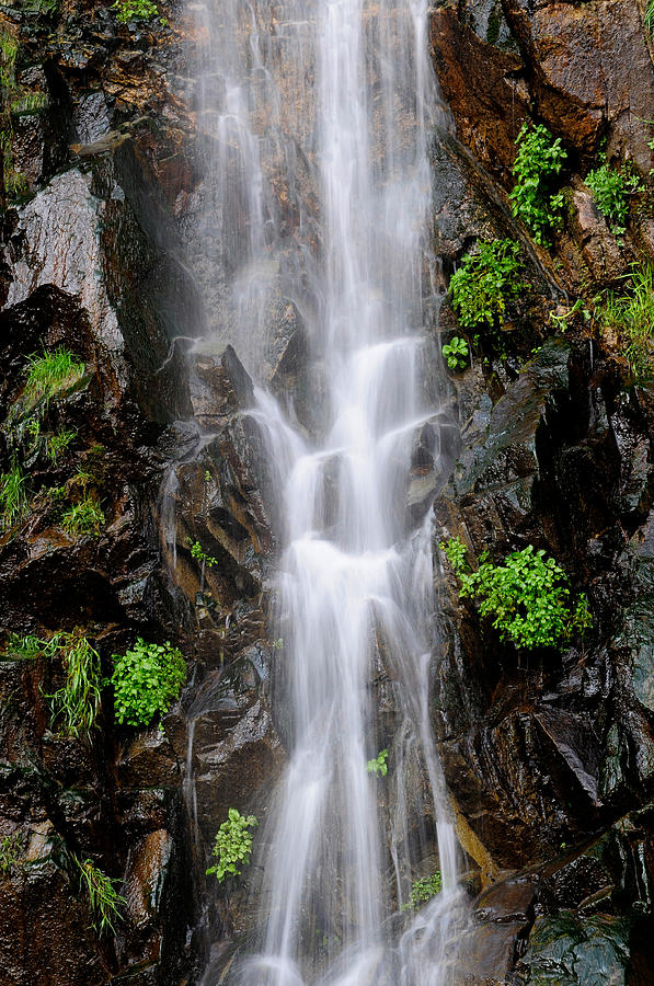 Roadside Waterfall Photograph by Theodore Clutter