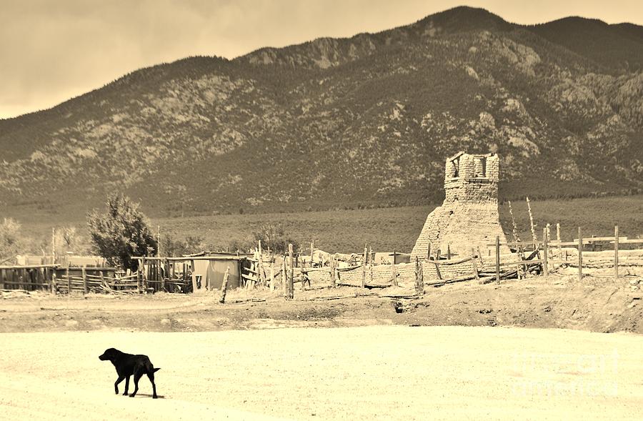 Roaming the Pueblo Photograph by William Wyckoff