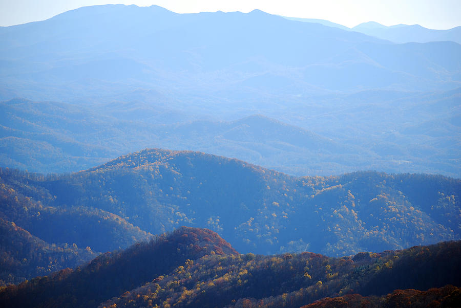 Roan Mountain 3 Photograph by Melanie Mayne - Fine Art America