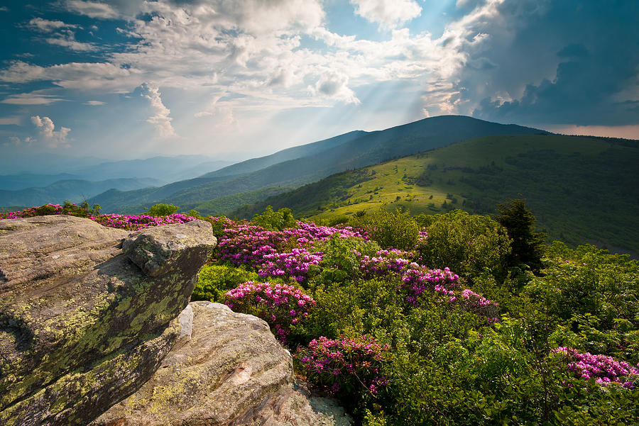 Appalachian Trail Photograph - Roan Mountain from Appalachian Trail near Janes Bald by Dave Allen