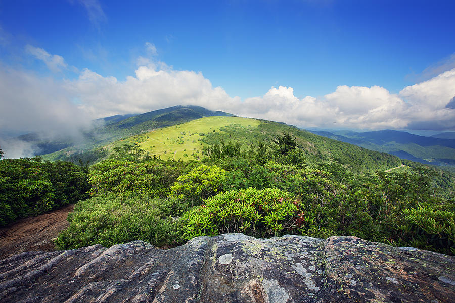 Roan Mountain Photograph by Malcolm MacGregor Pixels