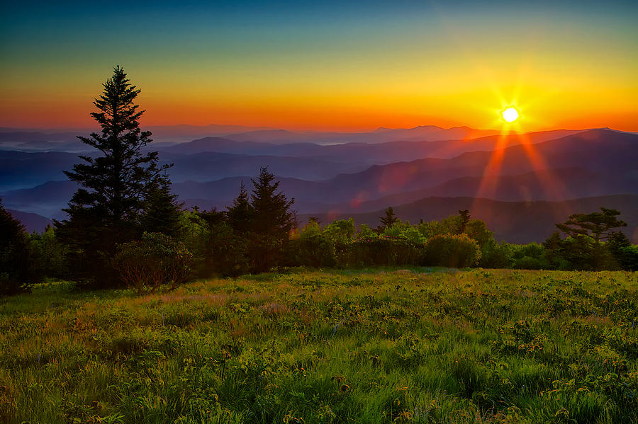 Nature Photograph - Roan Mountain Sunrise by Mark Steven Houser