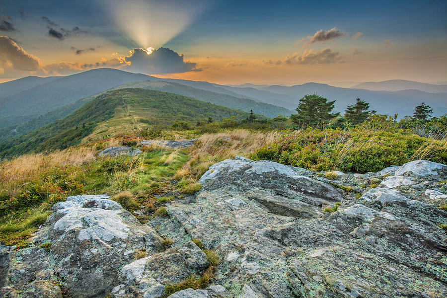 Roan Mountain Sunset Photograph by Cathy Anderson