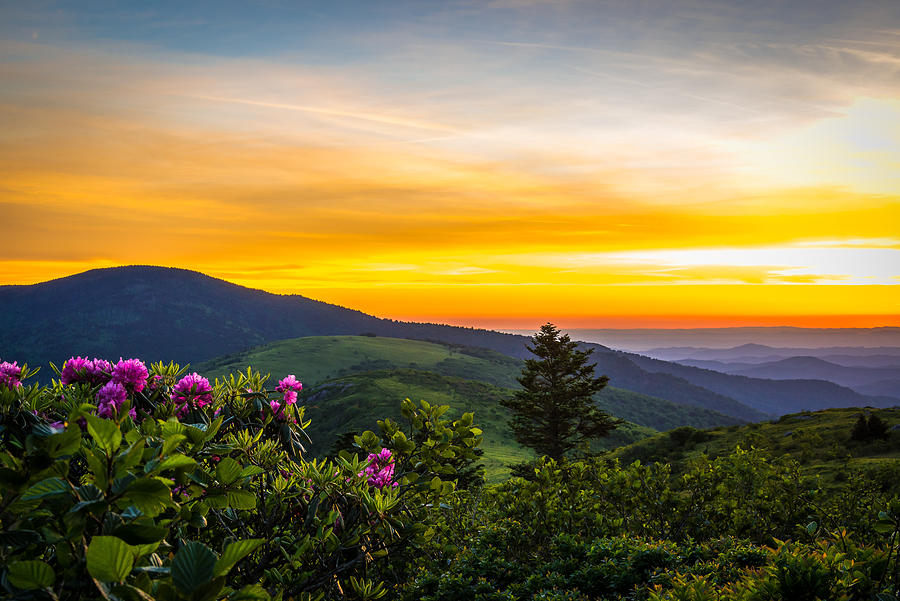 Roan Mountain Sunset Photograph by Serge Skiba