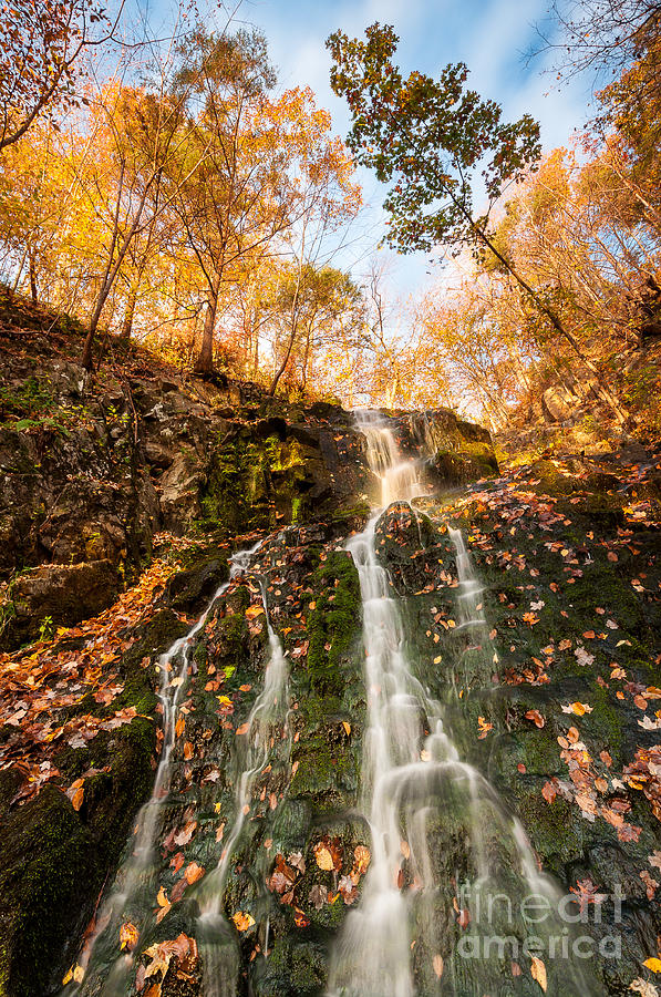 Waterfall - Roaring Brook Autumnlands Photograph by JG Coleman