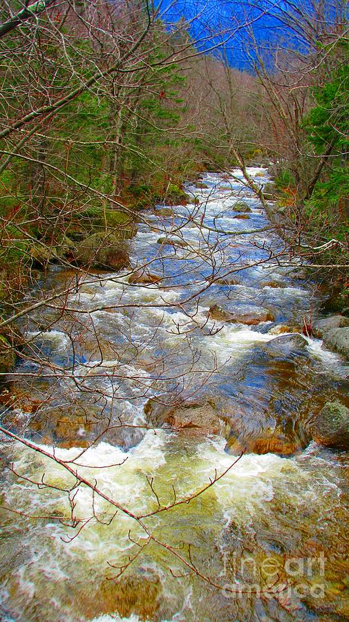Nature Photograph - Roaring Brook by William Hill