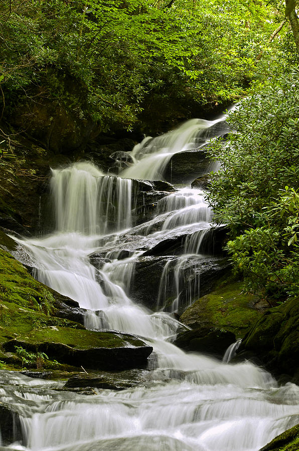 Roaring Creek Falls Photograph by Eric Albright