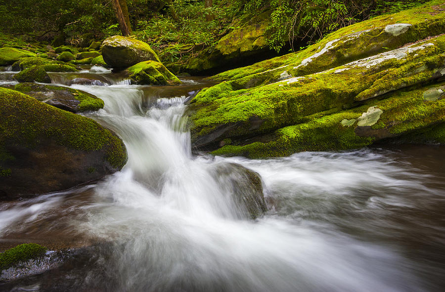Roaring Fork Great Smoky Mountains National Park Cascade - Gatlinburg TN Photograph by Dave Allen