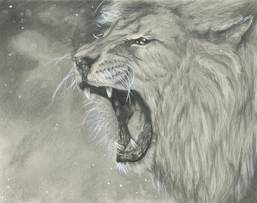 Pencil Sketch lion face on - Arthub.ai