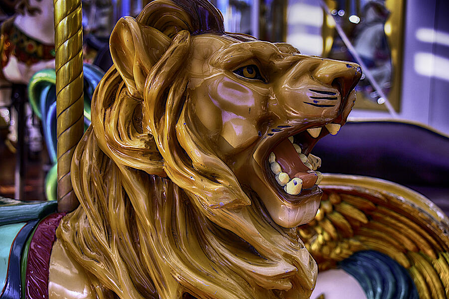Roaring Lion Ride Photograph by Garry Gay