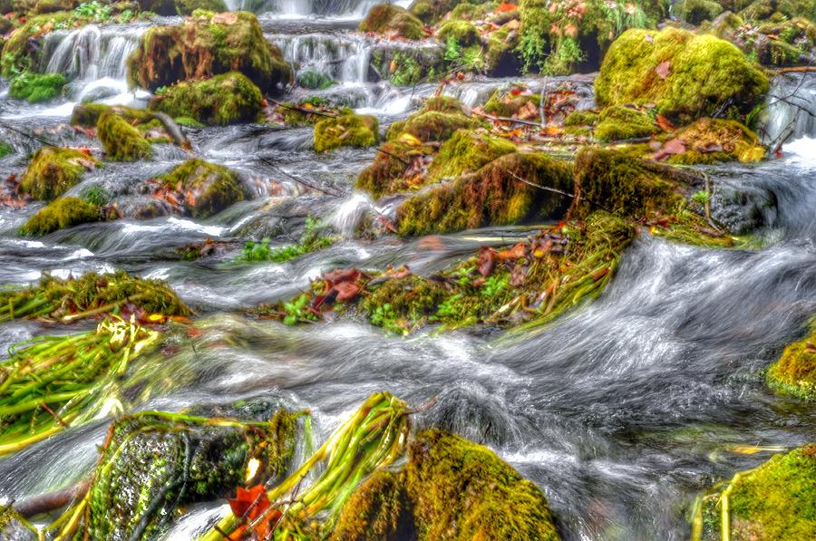 Fall Digital Art - Roaring Water by Shawn Wood