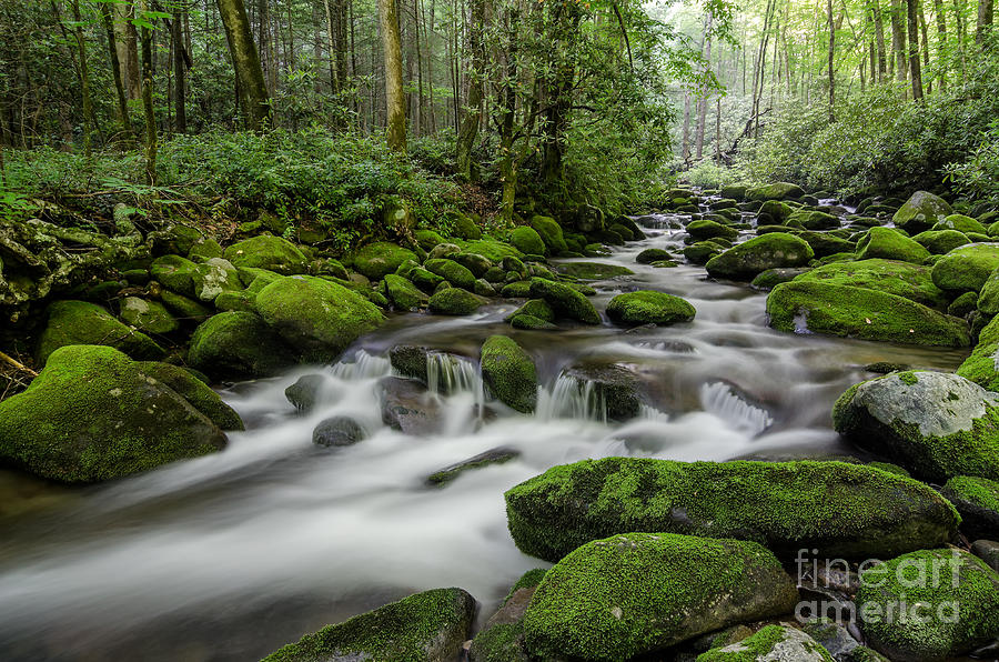 Roaring Waters Photograph