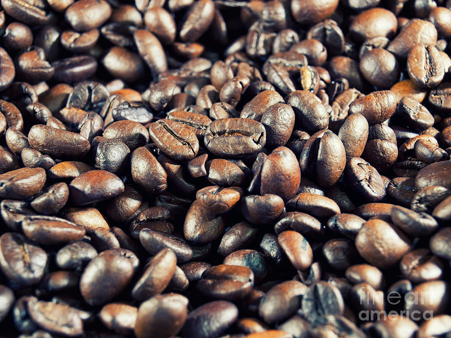 Roasted Coffee Photograph