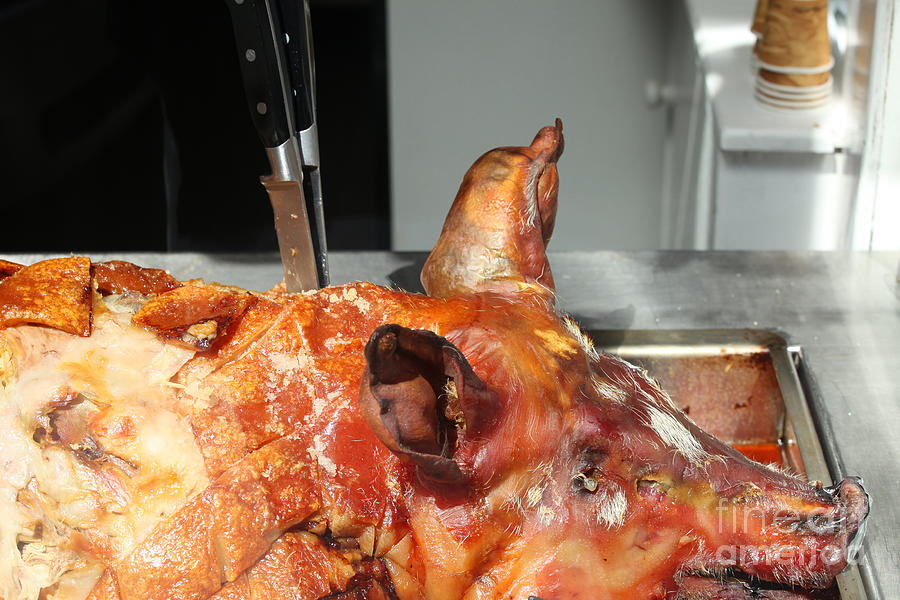 Roasted whole pork Photograph by Patricia Hofmeester