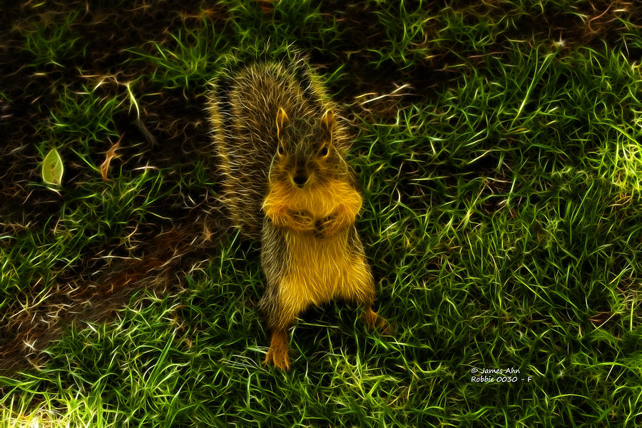 Robbie the Squirrel -0030 - F Digital Art by James Ahn