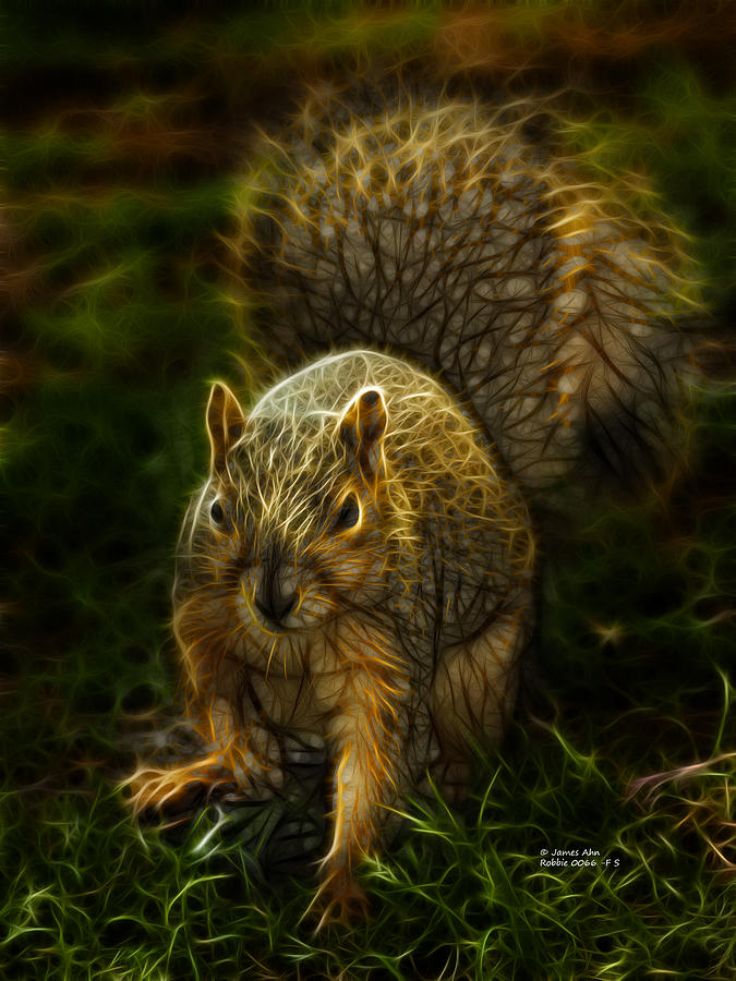Robbie the Squirrel -0066 - F S Digital Art by James Ahn