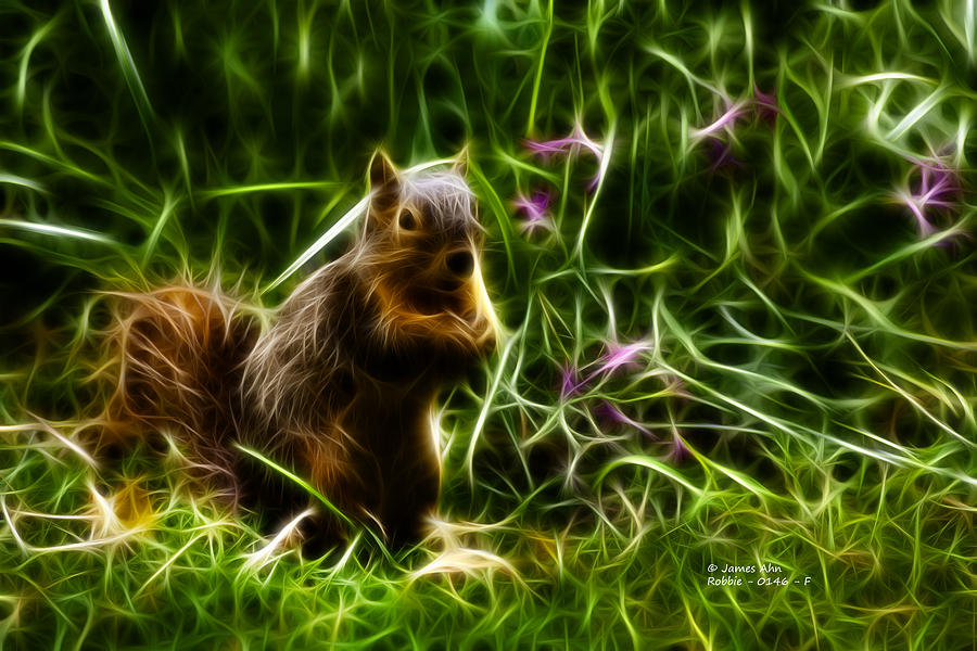 Robbie the Squirrel -0146 - F Digital Art by James Ahn