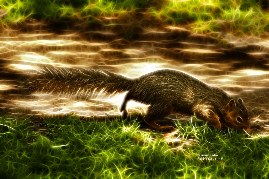 Robbie the Squirrel -0178 - F Digital Art by James Ahn