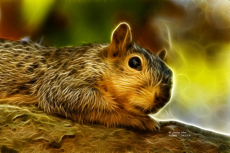Robbie the Squirrel 7415 - F Digital Art by James Ahn