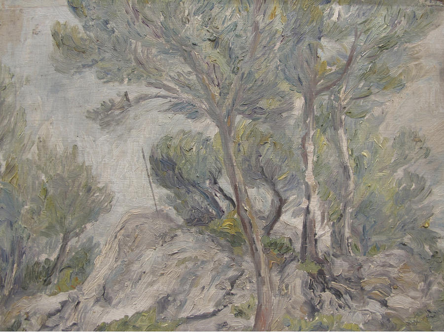 Mediterranean Landscape Painting - Mediterranean pine trees and rocks by Robert Engel