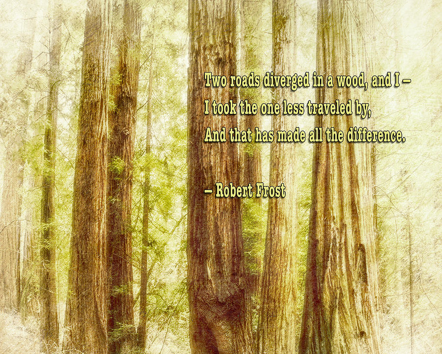 Robert Frost quote and Muir Woods Photograph by Marianne Campolongo