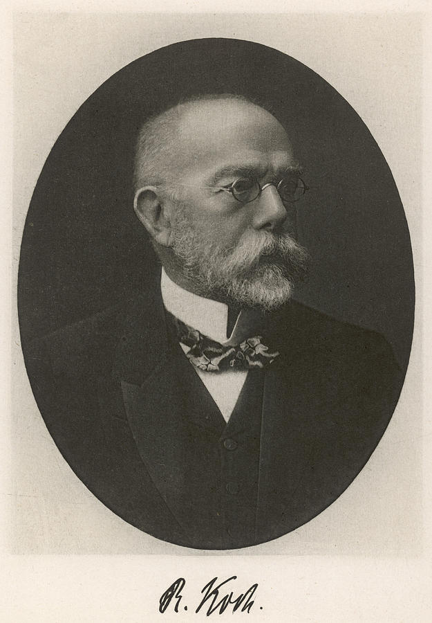 Robert Koch German Bacteriologist Drawing by Mary Evans Picture Library