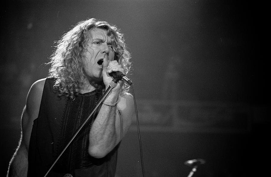 Robert Plant Photograph - Robert Plant by Timothy Bischoff