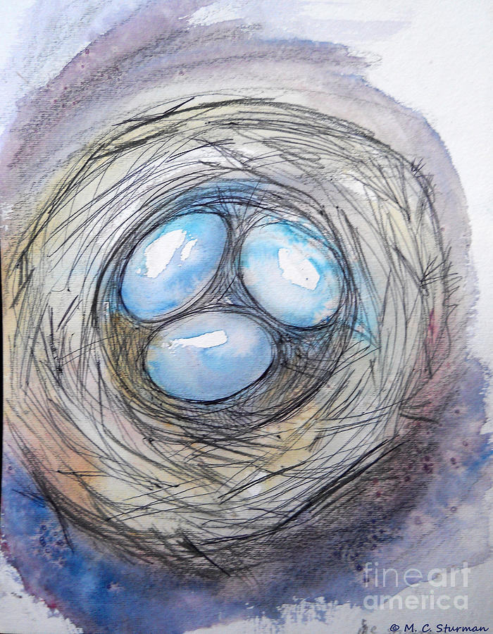 Robin Blue Nest Painting by M c Sturman