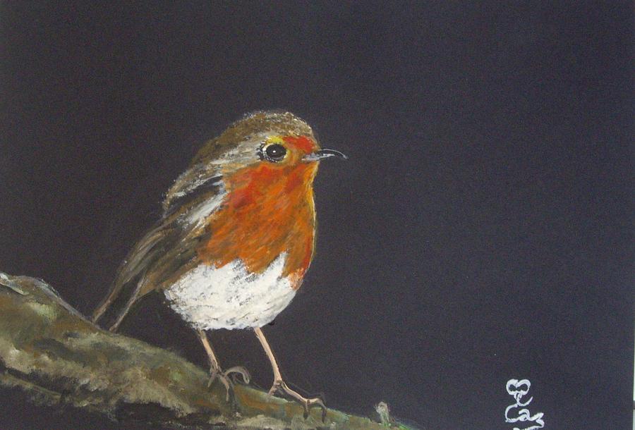 Robin Painting by Carole Robins