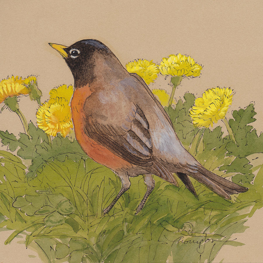 Bird Painting - Robin in the Dandelions by Tracie Thompson