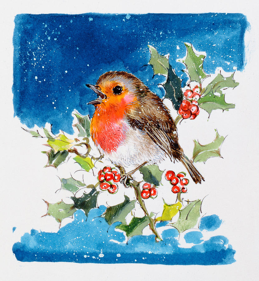 Robin Painting - Robin Red-breast by Diane Matthes