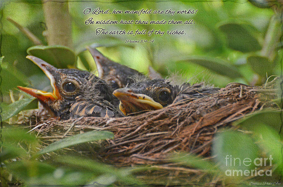 Robins in the Nest with verse Photograph by Debbie Portwood